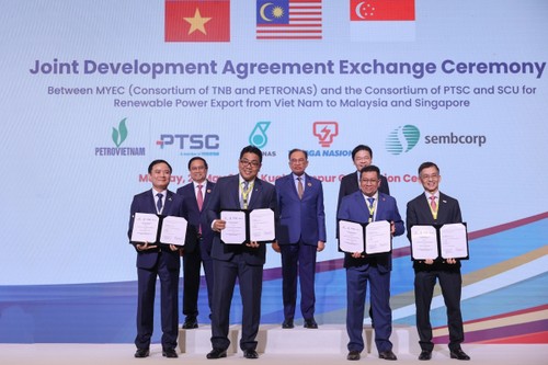 Vietnam exportiert Strom aus erneuerbaren Energien nach Malaysia und Singapur - ảnh 1