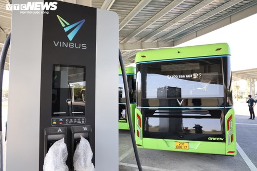 Bus mit sauberer Energie ist unvermeidlicher Trend in Städten - ảnh 1