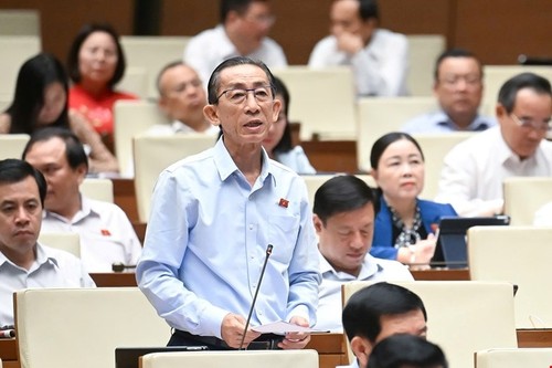 Das Parlament diskutiert Wirtschafts- und Gesellschaftslage - ảnh 2