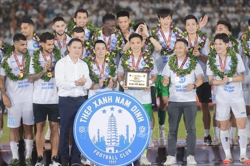 Thep Xanh Nam Dinh ist der Meister der V-League, Quy Nhon Binh Dinh steigt ab - ảnh 1