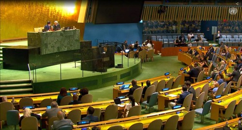 Vietnam fördert die einvernehmliche Verabschiedung des Betriebsbudgets für die Friedensmission in Abyei - ảnh 1