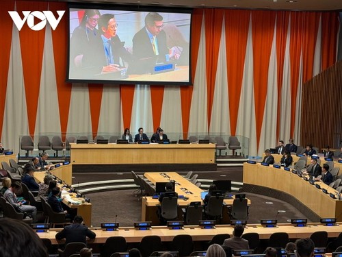 Vietnam leitet Konsultation zur 11. Überprüfungskonferenz des Vertrags über die Nichtverbreitung von Kernwaffen - ảnh 1