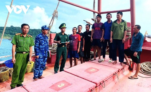 Die Gesetze Vietnams gewährleisten eine wirksame und nachhaltige Bekämpfung der IUU-Fischerei - ảnh 1