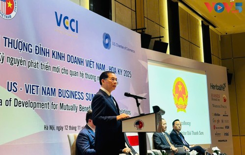 Eine neue Ära der Entwicklung für Handelsbeziehungen zwischen Vietnam und den USA - ảnh 1