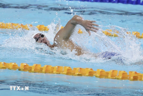 SEA Games 33: Vietnamesisches Schwimmteam gewinnt sechs Goldmedaillen und belegt den 2. Platz in der Gesamtwertung - ảnh 1