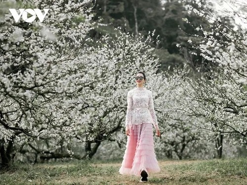 Winterblumen auf dem Moc-Chau-Plateau - ảnh 2