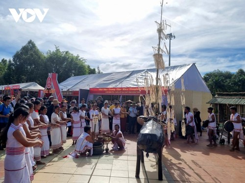 Erhaltung der Volkstänze des Hochlands Tay Nguyen - ảnh 1