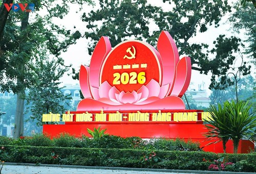 Die festliche Atmosphäre von Tet in ganz Vietnam  - ảnh 2