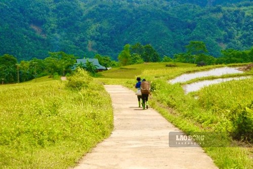 가을 익은 벼를 감상하기에 좋은 관광지들 - ảnh 13