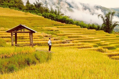 가을 익은 벼를 감상하기에 좋은 관광지들 - ảnh 15