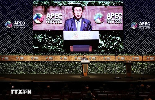 르엉 끄엉 국가주석, 2024년 APEC CEO 서밋에서 연설…밝은 미래 메시지 전달 - ảnh 1