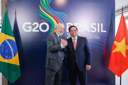 ‘G20 정상회의 참석’ 팜 민 찐 총리, 브라질 대통령과 회담 - ảnh 2