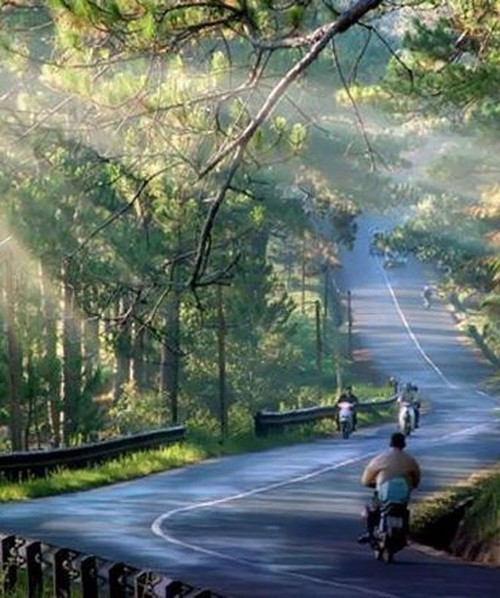 달랏, '사랑의 도시' - ảnh 1