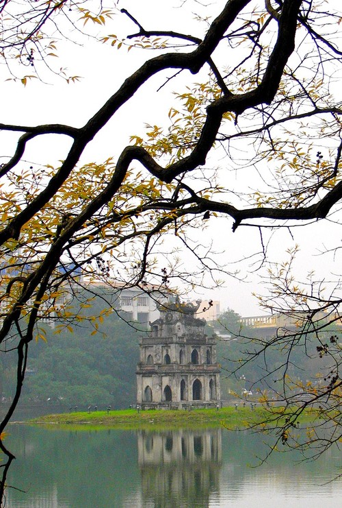 하노이 – 꽃과 거리 - ảnh 1