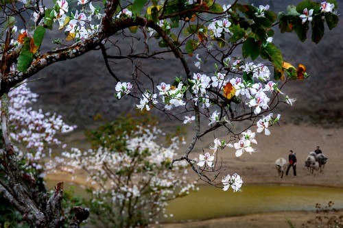 디엔비엔 – 불멸의 영웅 서사시 - ảnh 3