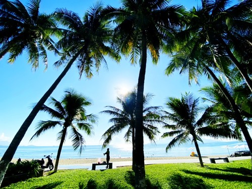 냐짱 – 푸른 바다와 그리움 - ảnh 1