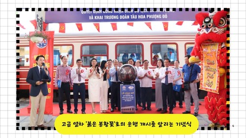 하이퐁 '붉은 봉황 꽃’ 열차, 새로운 여행 포인트로 주목 - ảnh 2