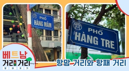 ≪베트남 거리거리 알아보기≫ 30회: 항맘(Hàng Mắm) 거리와 항째(Hàng Tre) 거리 - ảnh 1