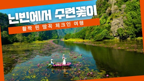 닌빈에서 수련꽃이 활짝 핀 땀꼭 체크인 여행 - ảnh 1