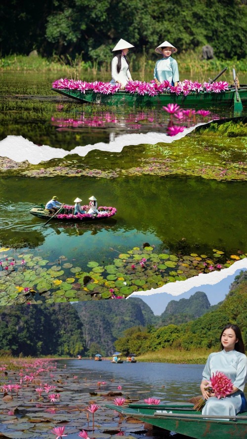 닌빈에서 수련꽃이 활짝 핀 땀꼭 체크인 여행 - ảnh 3