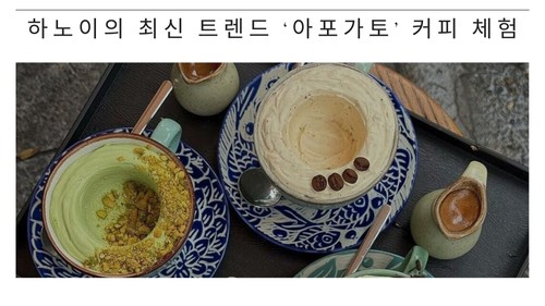 하노이의 최신 트렌드 ‘아포가토’ 커피 체험 - ảnh 1