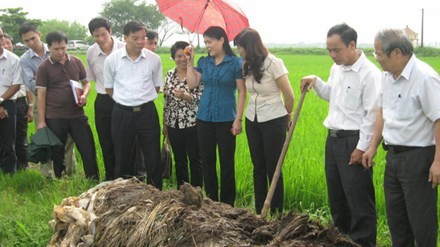 បណ្ឌិតLe Van Tri អ្នកវិទ្យាស្រ្តរបស់ប្រជាកសិករ - ảnh 2