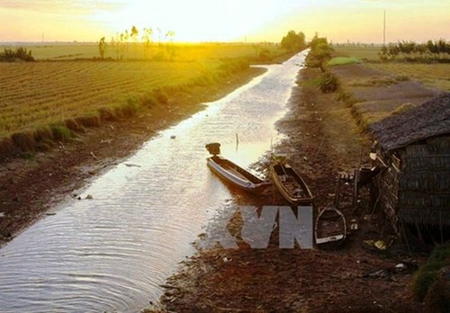 បើកសប្តាហ៍ទឹកពិភពលោកវៀតណាមឆ្នាំ ២០១៨  - ảnh 1