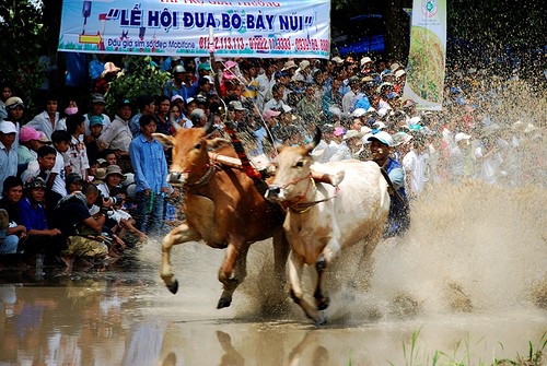 ការឆ្លើយសំណួររបស់មិត្តអ្នកស្ដាប់ - ảnh 1