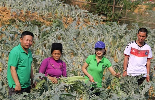 អ្នកដែលចាកចេញពីទីក្រុងទៅនៅតំបន់ព្រៃភ្នំដើម្បីដាស់តំបន់រុក្ខជាតិឱសថងើបឡើងវិញ - ảnh 2