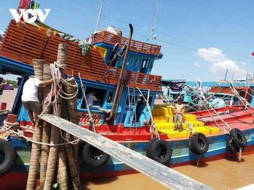 វៀតណាមខិតខំប្រឹងប្រែងដកកាតលឿងរបស់សហភាពអឺរ៉ុប ប្តេជ្ញាចិត្តទប់ស្កាត់ការនេសាទខុសច្បាប់ - ảnh 1