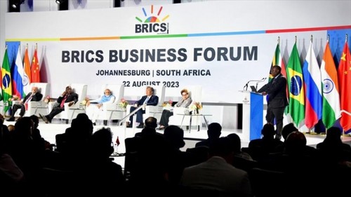 BRICS និងគោលដៅរួមគ្នាពន្លឿនការអភិវឌ្ឍប្រកបដោយចីរភាព - ảnh 2