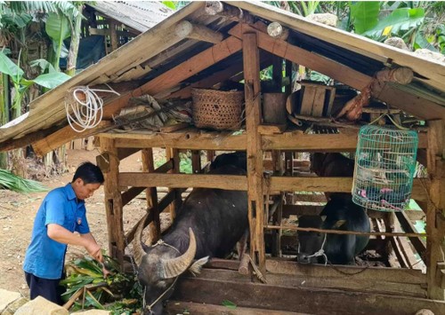 ស្រុក Ha Quang ខេត្ត Cao Bang ខិតខំរួចផុតពីភាពក្រីក្រនៅឆ្នាំ២០២៥ - ảnh 2