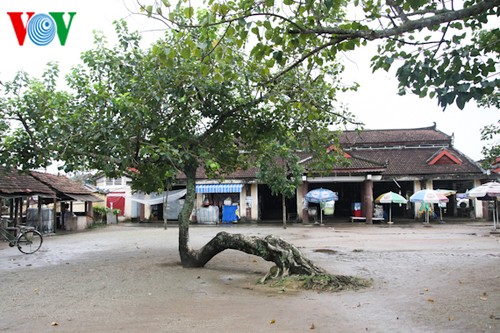 ស្ពានក្បឿង Thanh Toan នៅទីក្រុង Hue - ảnh 7