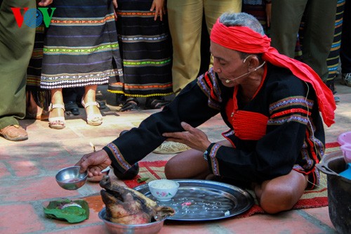 ភាពវិសេសវិសាលនៃពិធីបុណ្យដំរីភូមិ Don ឆ្នាំ ២០១៤ - ảnh 1