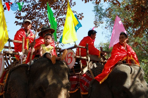 ភាពវិសេសវិសាលនៃពិធីបុណ្យដំរីភូមិ Don ឆ្នាំ ២០១៤ - ảnh 6