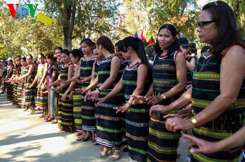 ភាពវិសេសវិសាលនៃពិធីបុណ្យដំរីភូមិ Don ឆ្នាំ ២០១៤ - ảnh 8