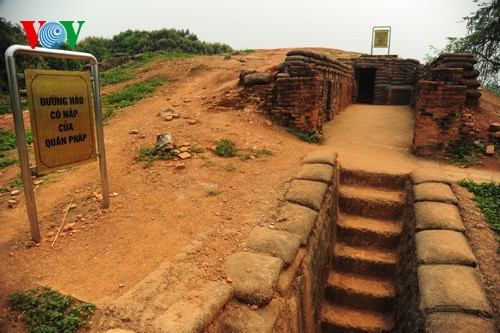 ស្លាមនៃការប្រយុទ្ធរវាងខ្លានិងដំរី - ảnh 12