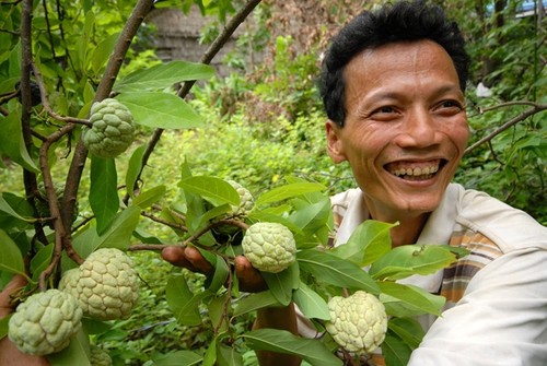 ឆ្លើយសំណួរនៃមិត្តអ្នកស្តាប់មួយចំនួន - ảnh 1