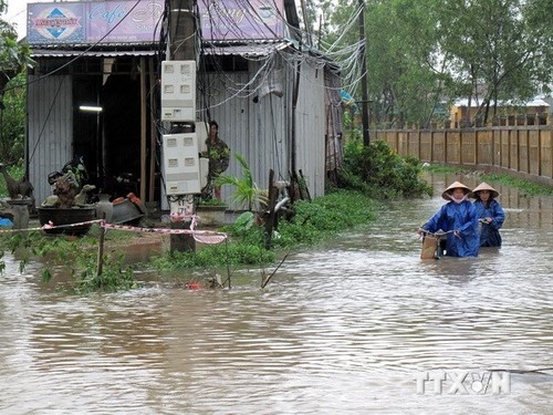 បណ្ដាអ្នកផ្ដល់ជំនួយអន្តរជាតិសន្យាជួយវៀតណាមប្រឆាំងបំរ៉ែបំរួលអាកាសធាតុ - ảnh 1