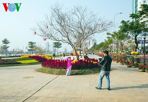 ឯកទគ្គកម្មផែនទីវៀតណាមធ្វើពីផ្កានៅ Da Nang - ảnh 9