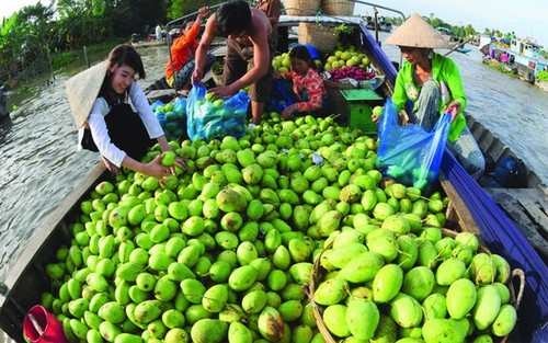 បណ្ដាផ្លែឈើឈ្ងុយឆ្ងាញ់ល្បីឈ្មោះនៅតំបន់ណាមបូប៉ែកខាងលិចវៀតណាម - ảnh 6