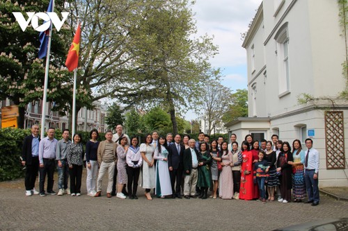 Aktivitas Memperingati 133 Tahun Presiden Ho Chi Minh di Luar Negeri - ảnh 1