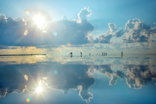 Keindahan Tenteram di Laut Quang Lang, Provinsi Thai Binh - ảnh 1