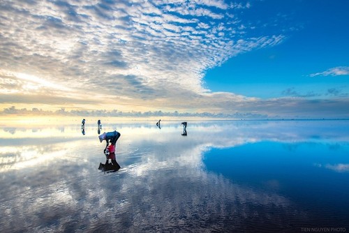 Keindahan Tenteram di Laut Quang Lang, Provinsi Thai Binh - ảnh 3