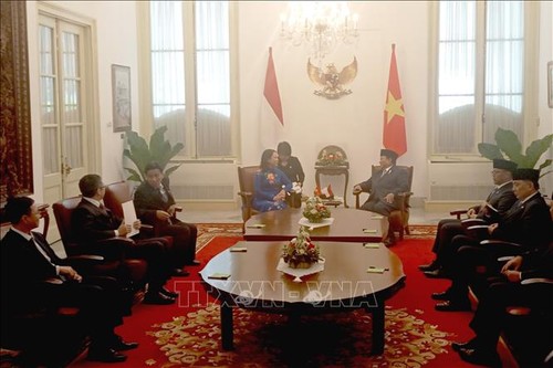 Vietnam-Indonesia Berupaya Tingkatkan Nilai Perdagangan Bilateral untuk Segera Capai 18 Miliar USD - ảnh 1