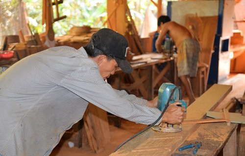 Menjaga Api Kerajinan Kayu Masa Lalu di Daerah Dataran Rendah Sungai Mekong - ảnh 1