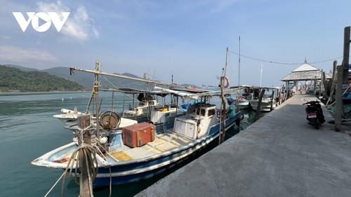 Thailand Mencabut “Kartu Kuning” IUU : Perjalanan Reformasi Cabang Hasil Perikanan yang Komprehensif - ảnh 1