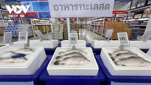 Thailand Mencabut “Kartu Kuning” IUU : Perjalanan Reformasi Cabang Hasil Perikanan yang Komprehensif - ảnh 2