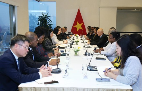 Vietnam terus Konsisten dengan Garis Politik Luar Negeri yang Independen, Mandiri, Teranekarahkan dan Teranekaragamkan dalam Hubungan Internasional - ảnh 1