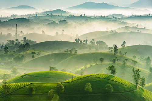 Fotografer Vietnam Berprestasi dalam Kontes Fotografi Internasional - ảnh 1